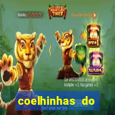 coelhinhas do brasil acompanhantes